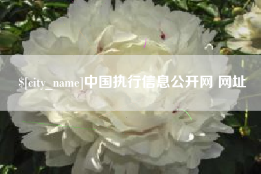 玉田中国执行信息公开网 网址