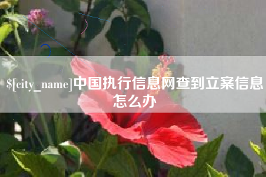 玉田中国执行信息网查到立案信息怎么办