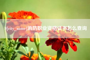 玉田消防职业资格证书怎么查询