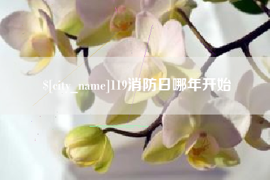 玉田119消防日哪年开始