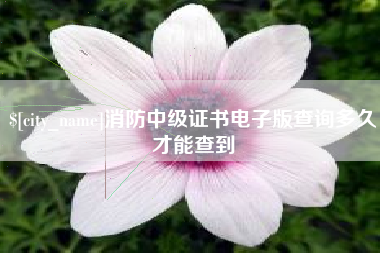 玉田消防中级证书电子版查询多久才能查到