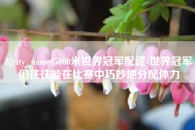 玉田5000米世界冠军配速-世界冠军们往往能在比赛中巧妙地分配体力