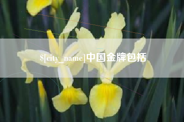 玉田中国金牌包括
