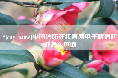 玉田中国消防在线官网电子版消防证怎么查询
