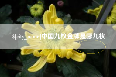 玉田中国九枚金牌是哪九枚