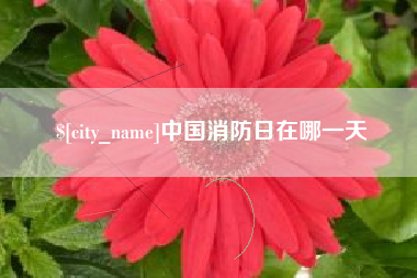 玉田中国消防日在哪一天