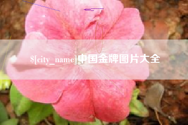 玉田中国金牌图片大全