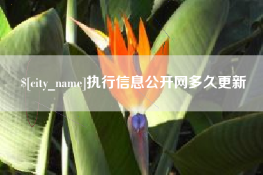 玉田执行信息公开网多久更新