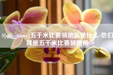 玉田五千米比赛领跑员是什么-他们就是五千米比赛领跑员