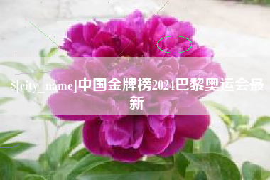 玉田中国金牌榜2024巴黎奥运会最新