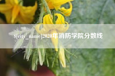 玉田2020年消防学院分数线