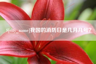 玉田我国的消防日是几月几号？