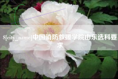 玉田中国消防救援学院山东选科要求