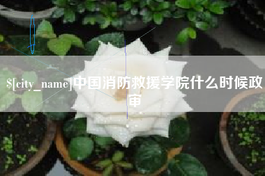 玉田中国消防救援学院什么时候政审