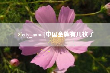玉田中国金牌有几枚了