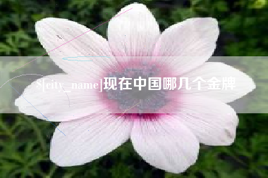 玉田现在中国哪几个金牌