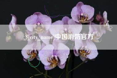 玉田中国消防官方