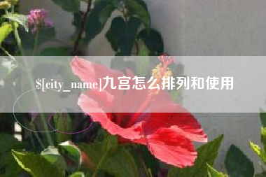 玉田九宫怎么排列和使用