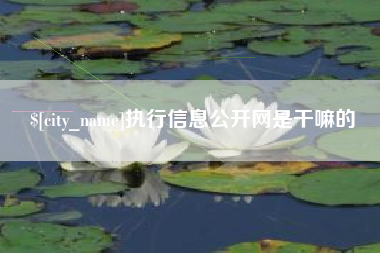 玉田执行信息公开网是干嘛的