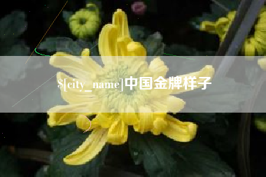 玉田中国金牌样子