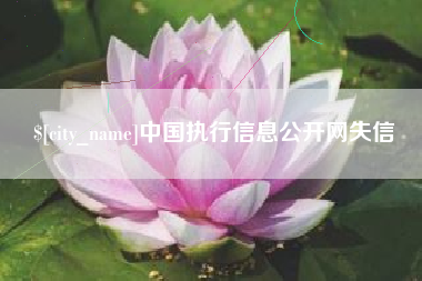玉田中国执行信息公开网失信