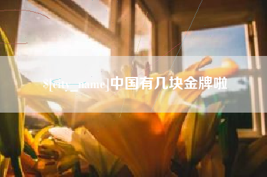 玉田中国有几块金牌啦