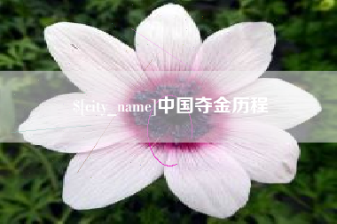 玉田中国夺金历程