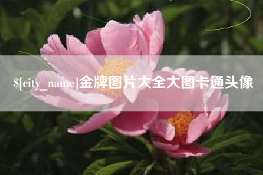 玉田金牌图片大全大图卡通头像