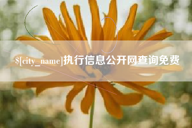玉田执行信息公开网查询免费